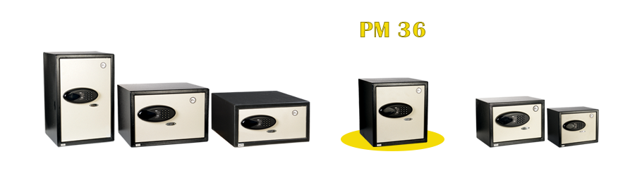 تصویر سری PM-36